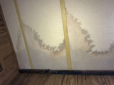 Professional attic mold removal services in Concord - Attic Mold Removal Concord