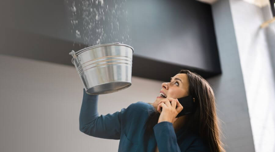 Why choose Attic Mold Removal Concord for attic mold removal in Concord